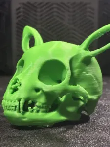 Eevee Realistic Skull - Bone Series