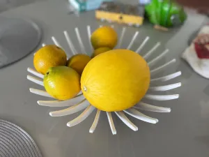 Modern Fruit Bowl for Creality