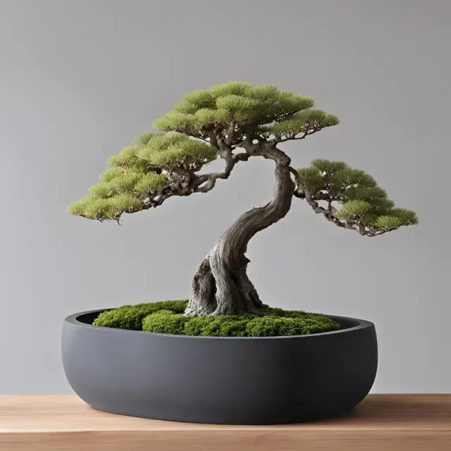 Round Bonsai Pot – Elegant, Simple Design for Your Bonsai