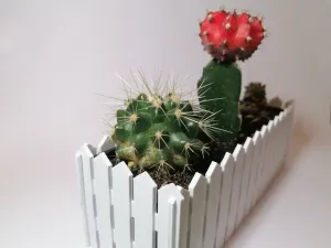 Mini flower bed