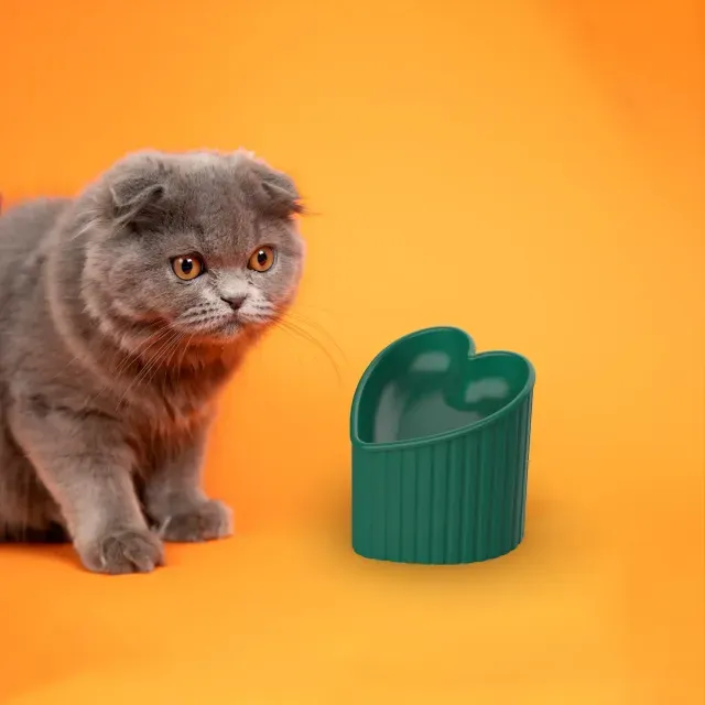 Heart Shaped Pet Bowl, Elevated Tilted, 3D Pet Decor Bowl — Фото 3 из 5
