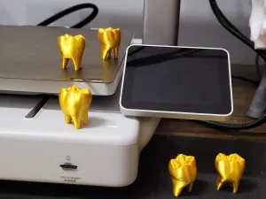 Golden tooth golden teeth human tooth