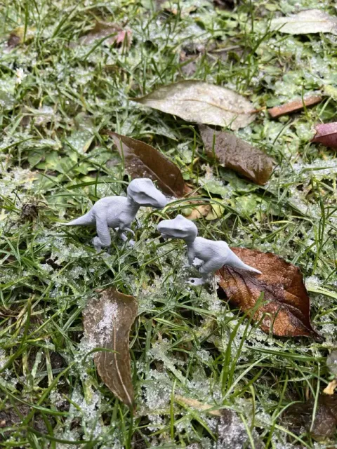 Dinosaur raptor — Фото 2 из 8