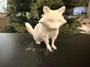 Racoon 2