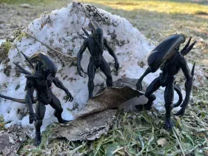 Xenomorph, Alien, Intruder