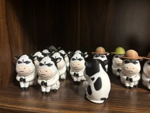 Grassland cow