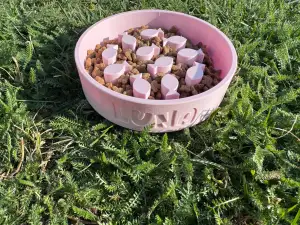Slow Feeder Cat Bowl