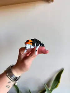 Tsunami rescue dog flexi toy