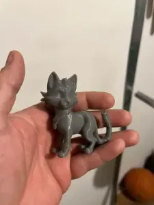 Cat with a collar