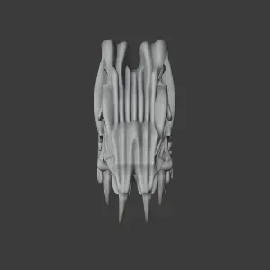 Tiger Snake Skull