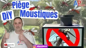 Piège à moustiques
