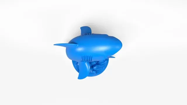 Shark — Image 3 of 9