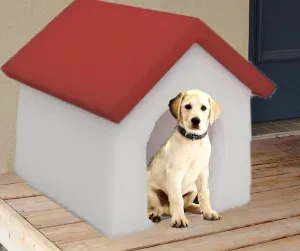 Toy dog’s house
