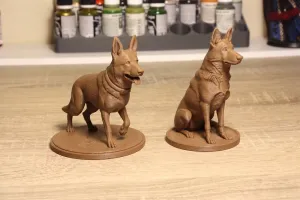 German Shepherd Dogs