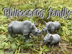Rhinoceros family