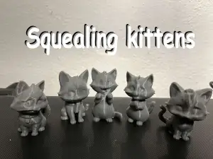 Begging, Squealing kittens, cats