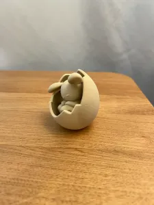 Easter Bunny in Egg