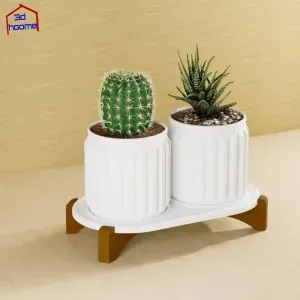 Succulent Planter Set