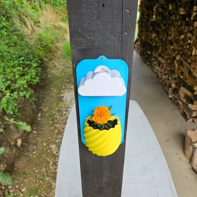 Rainy cloud flower pot