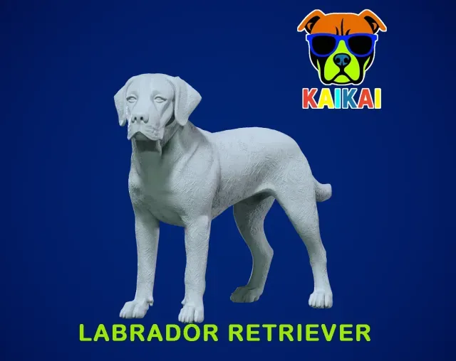 Labrador Retriever statue - Labrador model - 3D print — Фото 2 из 5