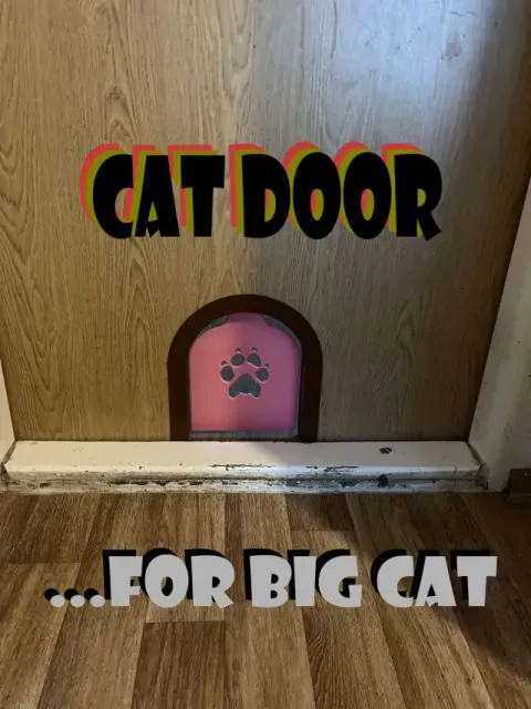 Cat door
