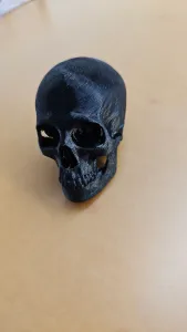 Skull nerd