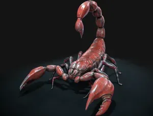 SCORPION