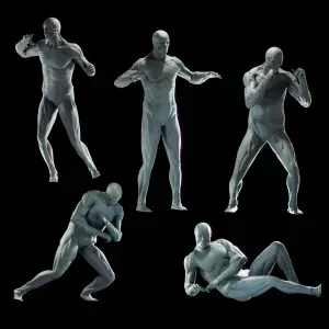 3d model with human musculature x 5 poses for study, anatomy