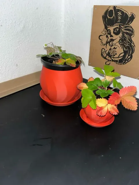 A flower pot with a saucer — Фото 5 из 9