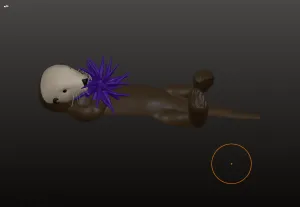 Sea Otter