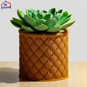 Succulent Planter