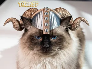 Cat Viking Helmet