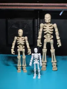 Poseable Skeleton