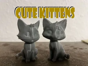 Cute kittens, Cat