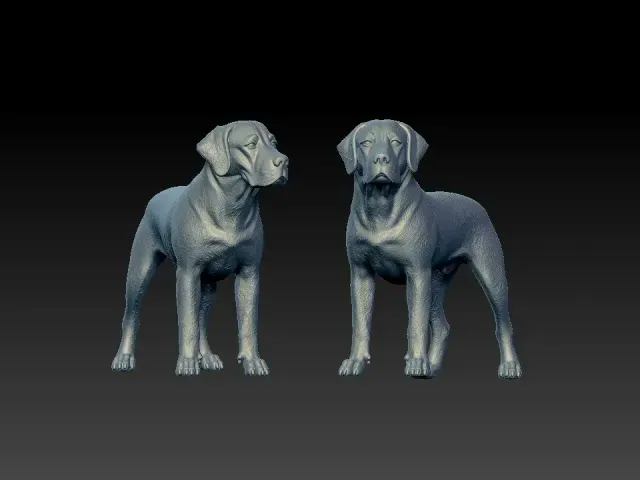 Labrador Retriever statue - Labrador model - 3D print — Фото 3 из 5