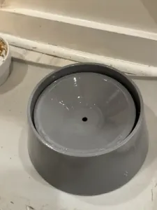 Dog Water Bowl