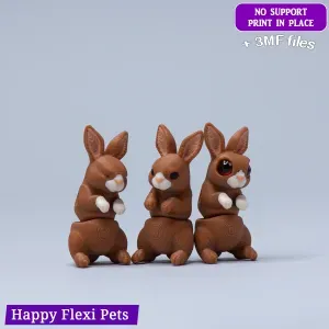 Dark's Rabbit - The Little Dark and Her Friends Collection