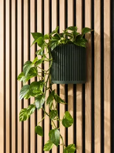 Wall planter