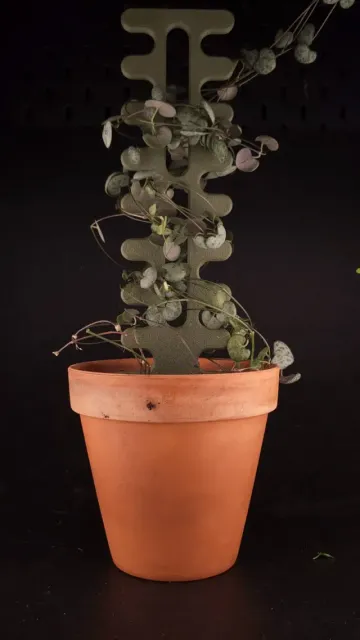 Plant Support — Фото 4 из 8
