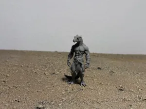 Dragonborn Monk - DND miniature