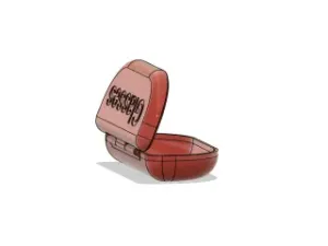 Eyeglasses case
