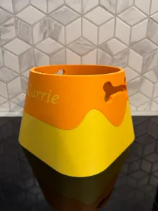 Customizable Dog/cat Bowl – Two-Part Design 🐾