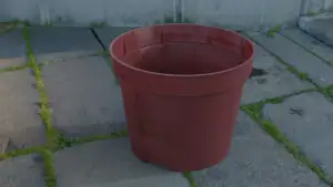 Flower Pot