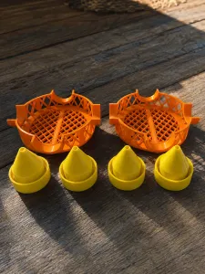 Minnow and Fish Trap