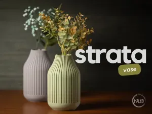 strata · vase