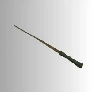 Harry Potter's Wand