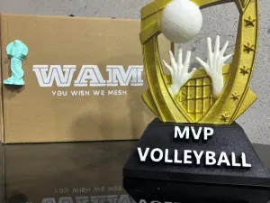 Volley Master
