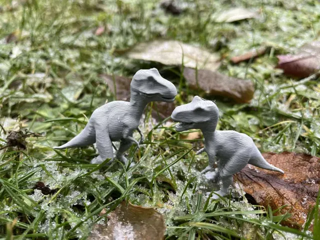 Dinosaur raptor — Фото 4 из 8