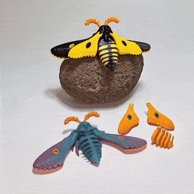Dead head moth (artiulated)