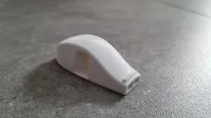 Whistle